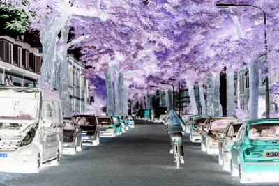 Het spookt in de Nijmeegse Wolfskuil