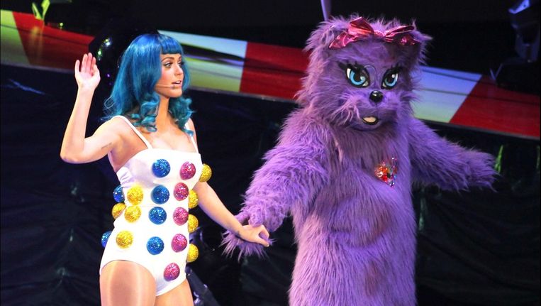 Kattenfluisteraar antwerpen