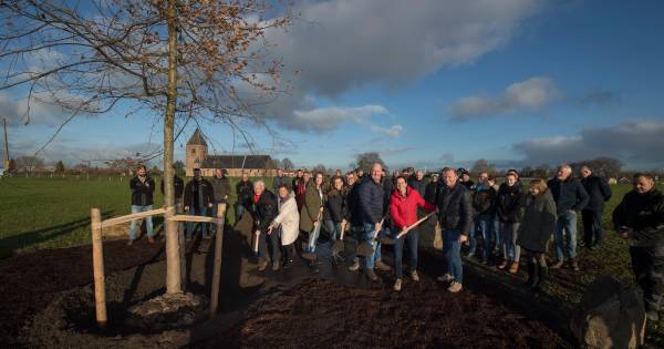 Het hogere doel van een honderdjarig familiebedrijf: ‘De aarde overleeft ons’