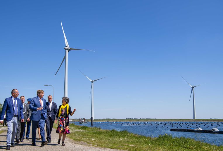 Echt groene energie laat natuur in haar waarde - Volkskrant