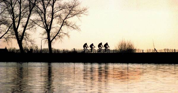Maas gaat op de schop: van soort Biesbosch tot alternatieve energiecentrale