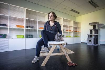 Kattenvrouw Margreet (35) uit Weerselo heeft bijna geen poes meer om zich heen: ‘Word er emotioneel 