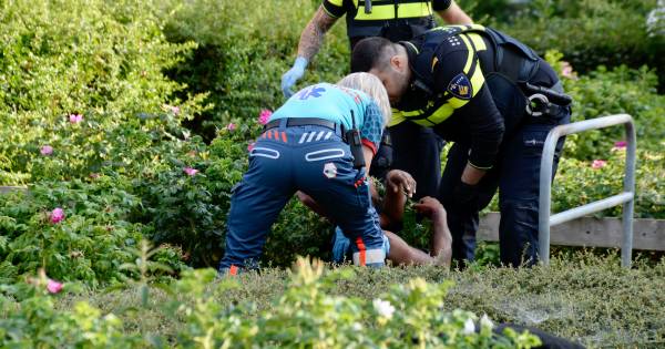 Gewonde bij steekpartij in Presikhaaf: ‘Ik hoor het geschreeuw nog steeds'.