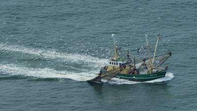 Deze stranden hebben een boodschap aan Nederland