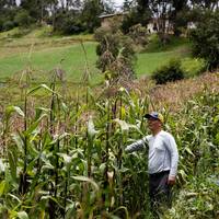 Ontknoping in spannende klimaatzaak: wint deze Peruaanse boer van energiegigant RWE?