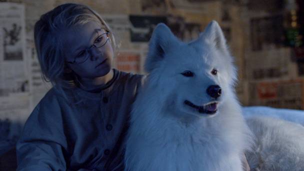 Zappbios: Operatie Noordpool