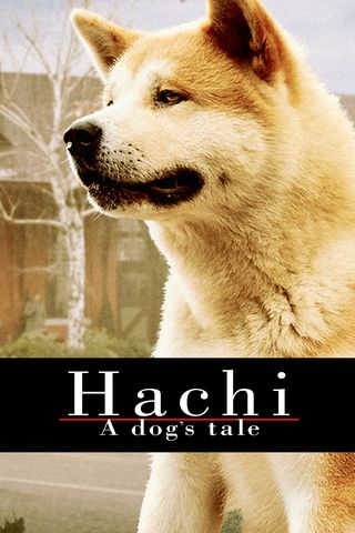 Hachiko A Dog&#39;s Story