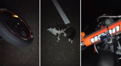 Jongen zingt over doodgereden poes die hij port: ‘Jij zegt geen miauw meer hé?’