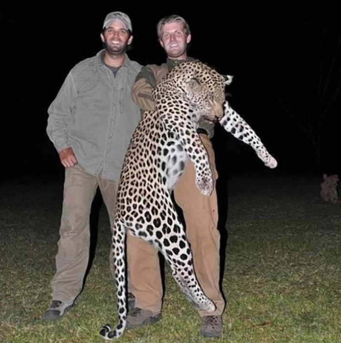 Donald Junior et Eric Trump posent avec un léopard mort au Zimbabwe.