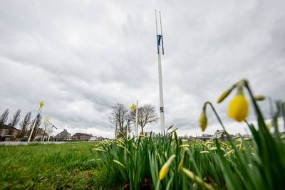 Storm Dennis vernielt kunstwerk ‘de narcissen’ van Alwie in Goor