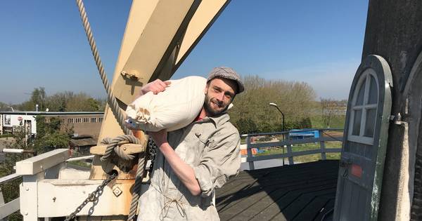 Molenaar Sven Verbeek draait overuren; al heeft de coronatijd ook nadelen - BD.nl