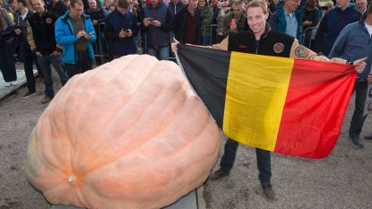 Mathias Willemijns Hln