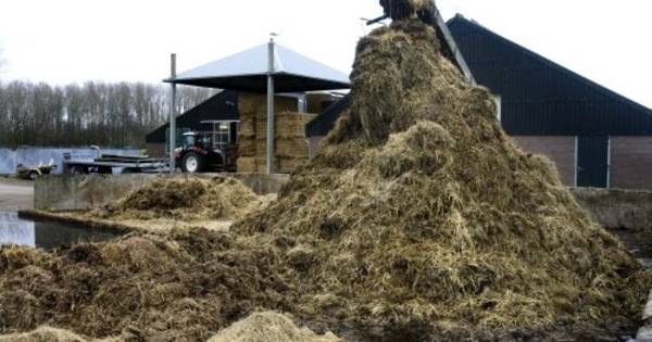 Vier keer meer mest voor Reniers in Wintelre - Eindhovens Dagblad