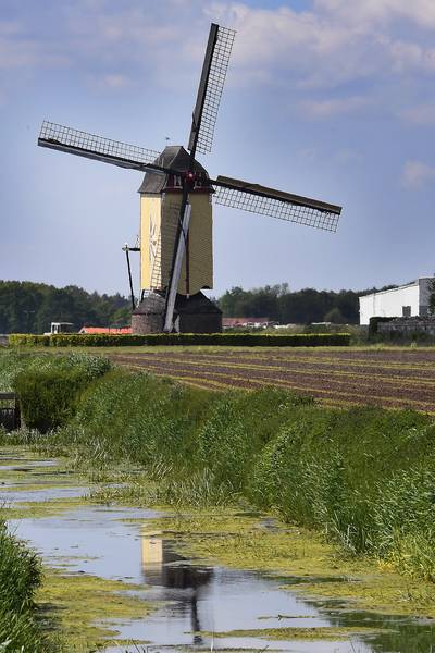 Vandalen klimmen in molen en mollen verkeersborden: vernielingen in Wanroij