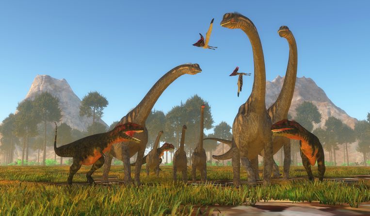 Foto ter illustratie. De nu ontdekte fossielen zijn ongeveer 140 miljoen jaar ouder dan de eerste dinosaurussen die over de aarde zwierven.