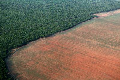 Cinq choses à savoir sur l'Amazonie