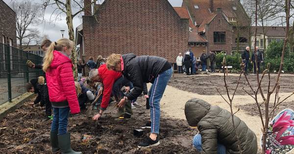 Kinderen Den Dijk planten beleeftuin Odiliapeel vol | Uden, Veghel eo - BD.nl