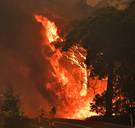 Premier van brandend Australië: ‘Er komt geen sterker klimaatbeleid’