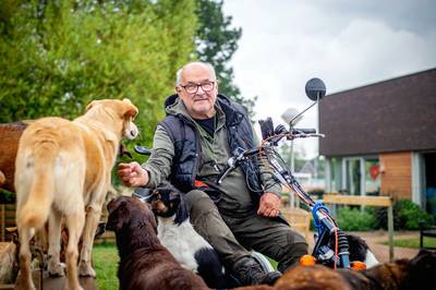 Demente ouderen kunnen dagelijks met honden wandelen, dankzij Jeroen