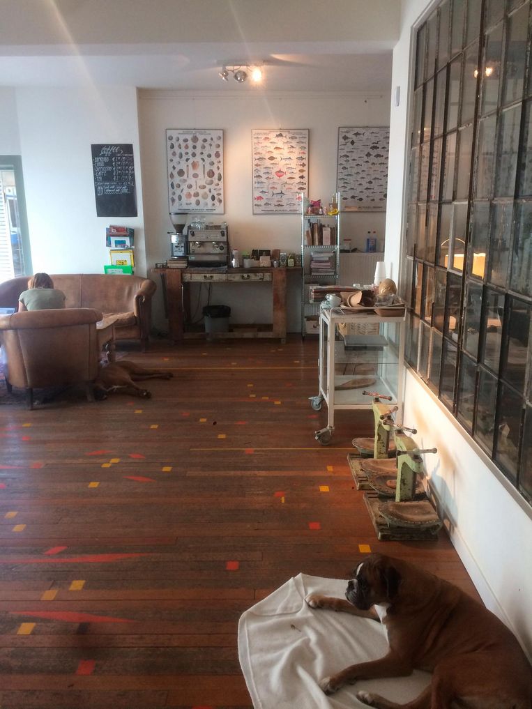 Bok, turnpaard en ringen als meubelstuk in de woonkamer ...