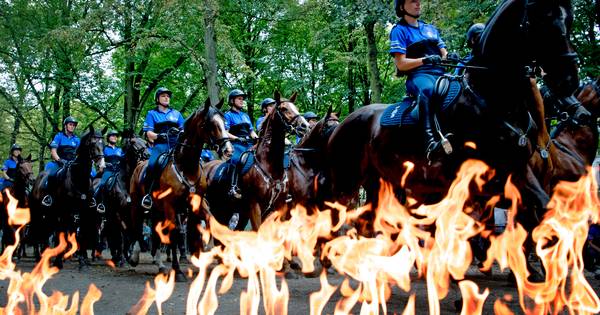 reizen escorte broodmager in Zaltbommel reizen escorte broodmager in Zaltbommel