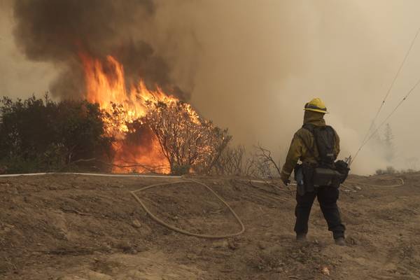 Cal Fire