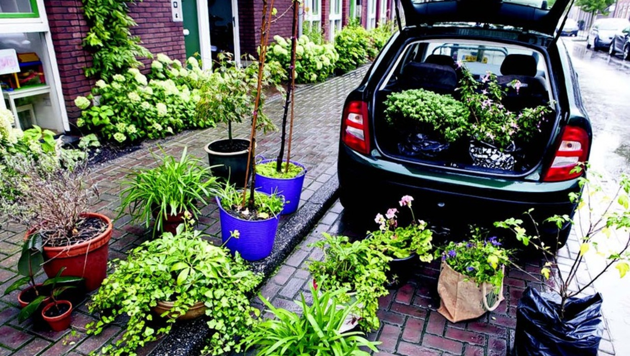 Planten Verhuizen Mag Dat Trouw