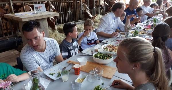 Lekker lunchen tussen de koeien; Klasseboeren Oss willen wel vaker kids in de ...