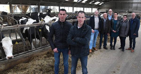 Bas (23) en Ton (31) nemen compleet melkveebedrijf Landhorst over - De Gelderlander