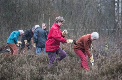 Van jerrycans naar zandhagedissen in bos Bennekom