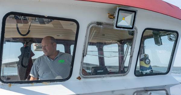Onder water zit het niet goed in de Oosterschelde