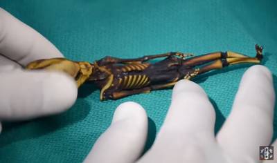 Raadsel mini-mummie opgelost: Ata is aards