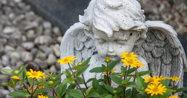 Een graf in eigen tuin mag niet in Gilze en Rijen