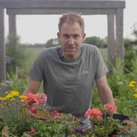 Zó maak je zelf een fleurige ‘hanging basket’