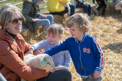 Wollige schatjes zorgen voor het lente-oergevoel