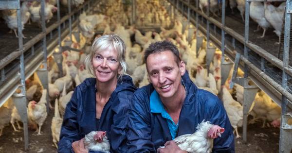 Veel boeren zetten deur eigen bedrijf open voor publiek