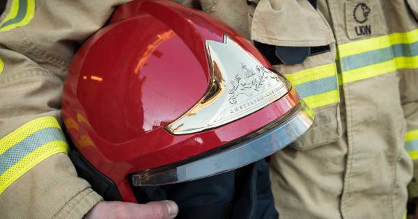 Officier: ‘Een wonder dat slachtoffer Dokkum poging moord overleefde'.