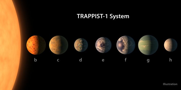 De planeten Trappist-1 e, f en g, omcirkelen in de levensvatbare zone hun ster, wat betekent dat er vloeibaar water op hun oppervlak zou zijn.