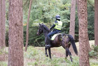 Politie onderzoekt gevonden kledingstuk, mogelijk van vermiste Anne