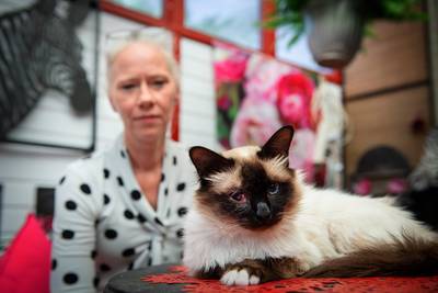 Diana is bang en plaatst schrikdraad nadat haar kat is beschoten