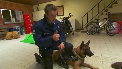 Aflevering 2