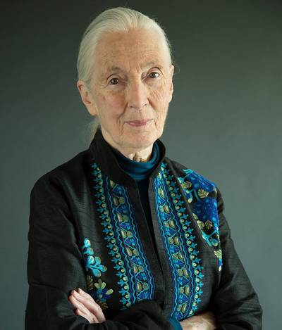 Jane Goodall: De wereld is in een beangstigend slechte staat