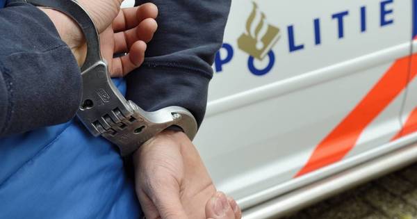 Tieners opgepakt voor betrokkenheid bij inbraak in Harreveld