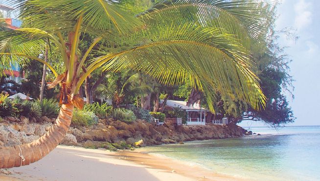 Get Wallpaper Barbados Is Vooral Heel Erg Lekker Wonen Ad Nl For Android