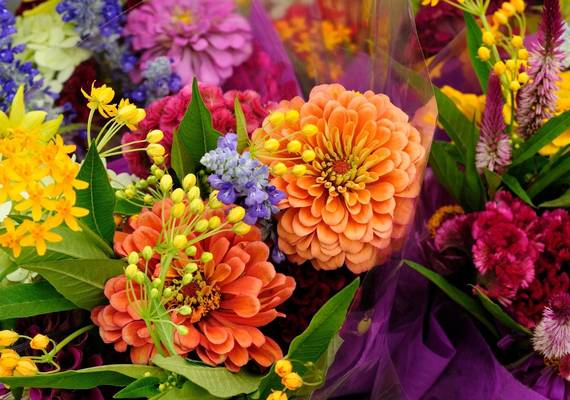 Deze 5 bloemen blijven het langst mooi