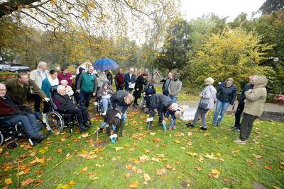 Bewoners Kalorama planten bloembollen