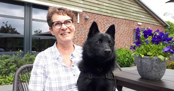 Een bijzondere hulphond met gebarentaal uit Herpen | Oss eo - BD.nl