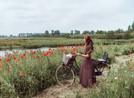 Dít zijn 5 mooiste fietsroutes in Nederland