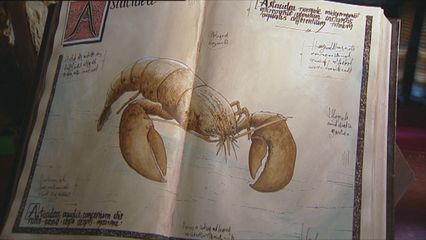14. De Kreeft & De Langoest