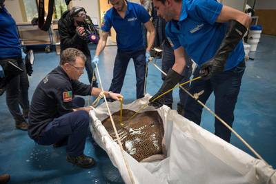 Arnhemse rog terug van mislukte blind date